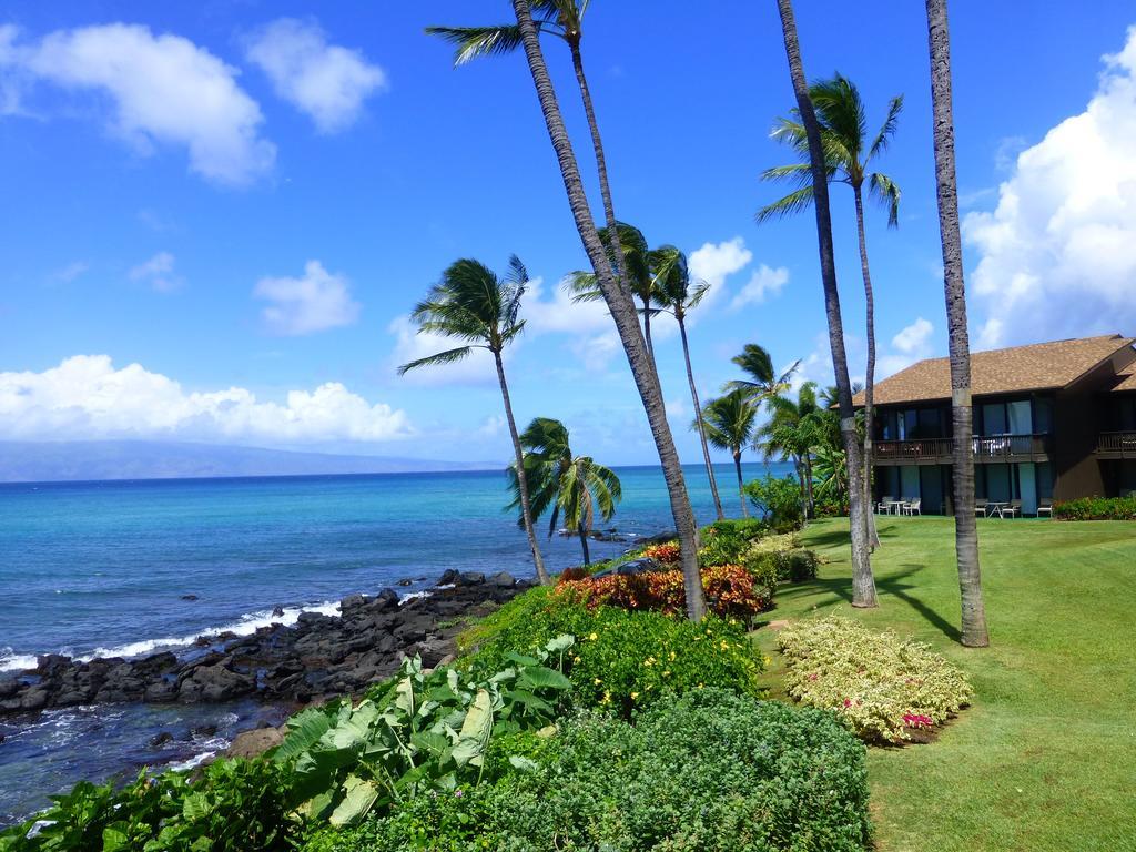 Mahina Surf 220 By Redawning Apart otel Lahaina Dış mekan fotoğraf