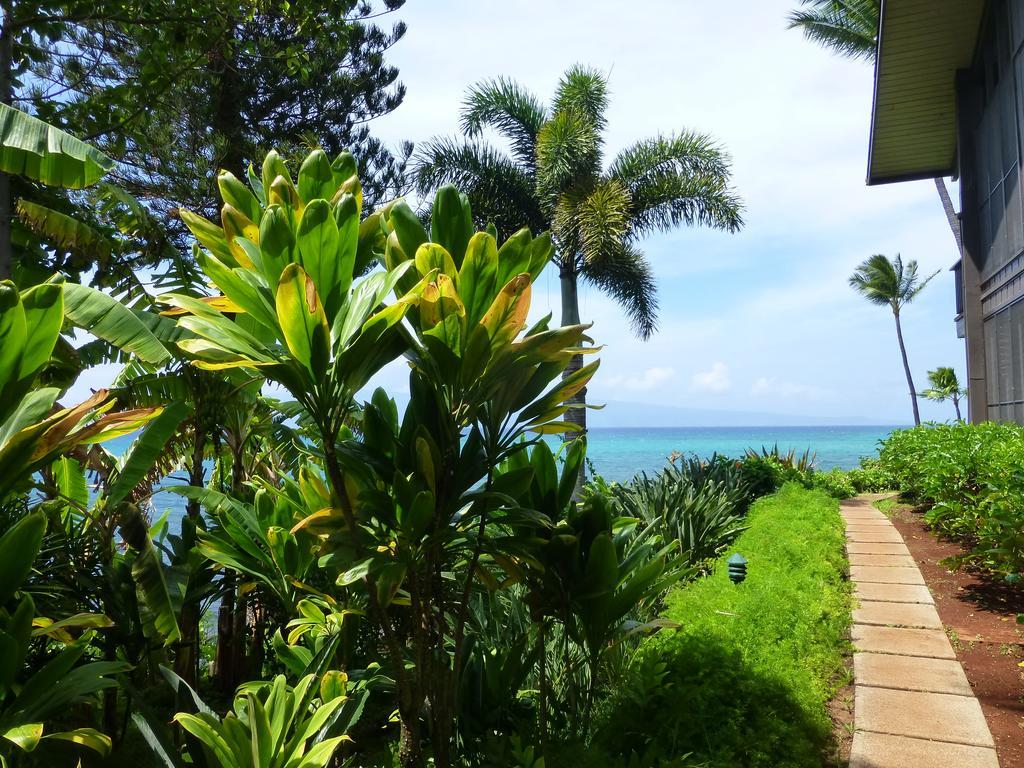 Mahina Surf 220 By Redawning Apart otel Lahaina Dış mekan fotoğraf
