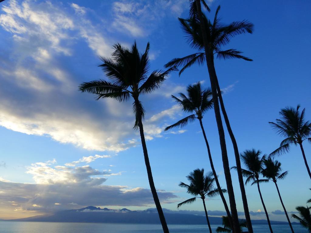 Mahina Surf 220 By Redawning Apart otel Lahaina Dış mekan fotoğraf